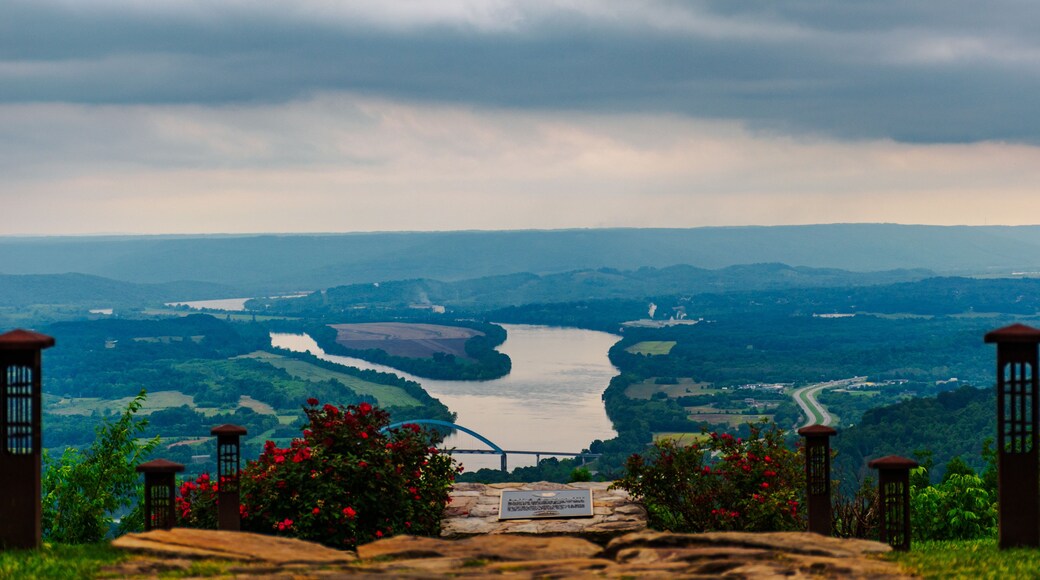 Top of the Mountain Vista