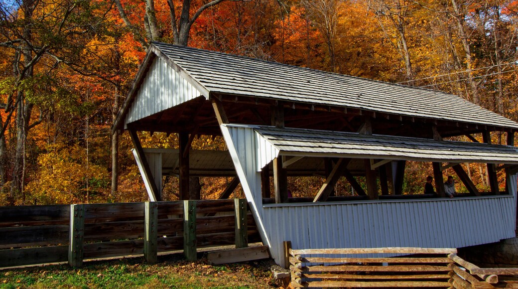 Condado de Fairfield