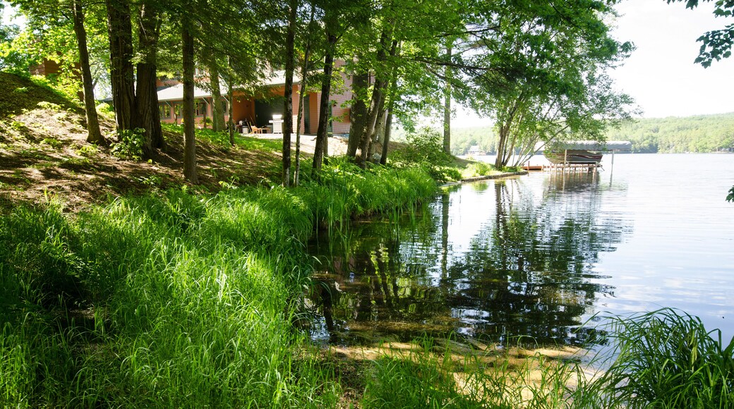 Lake front Pine River Pond