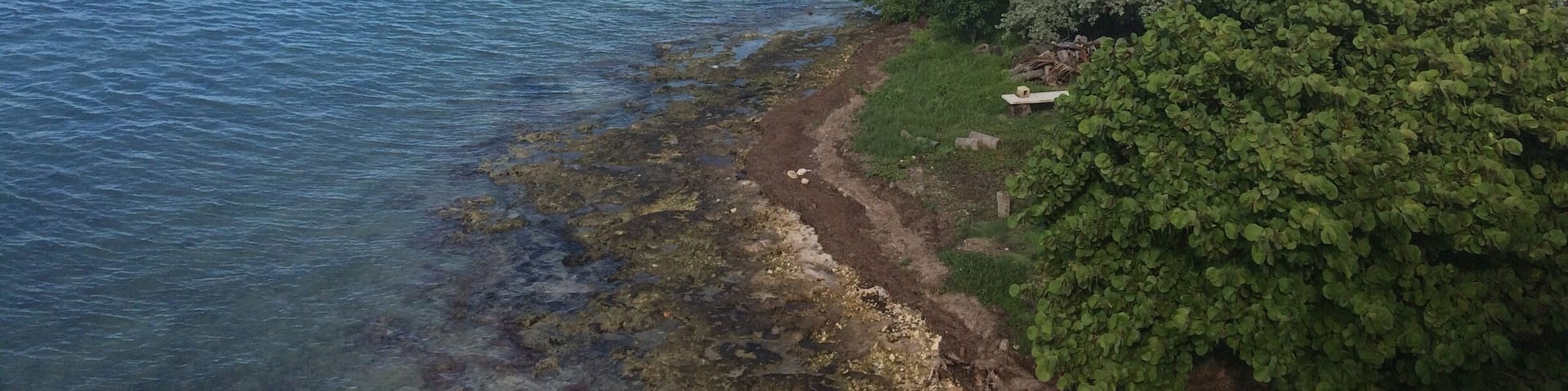 Such a beautiful place to talk a walk or run surrounded by water until you get to this spot :)