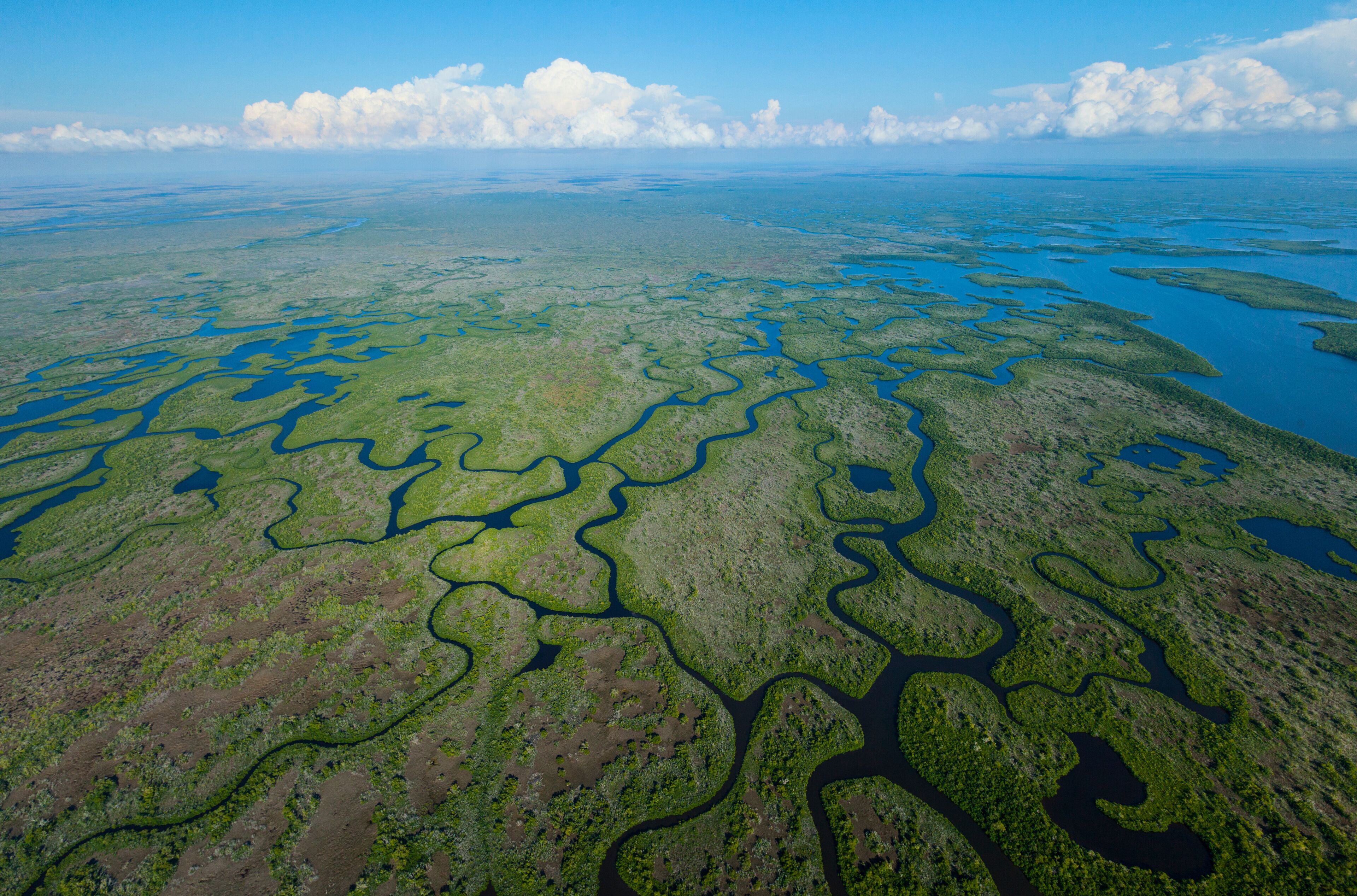 Aerial view, Everglades Natuional Park, FLORIDA, USA, AMERICA