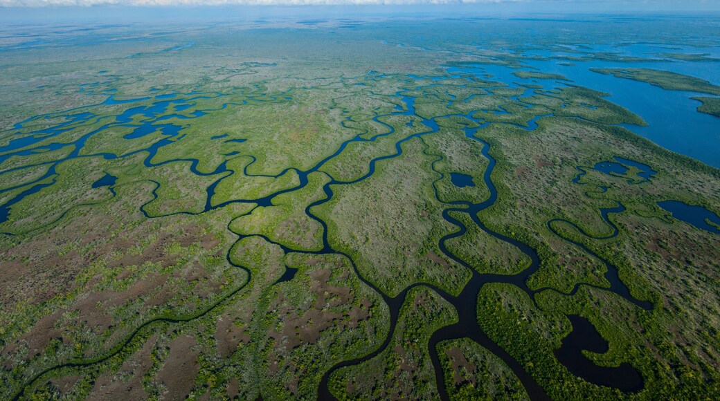 Aerial view, Everglades Natuional Park, FLORIDA, USA, AMERICA
