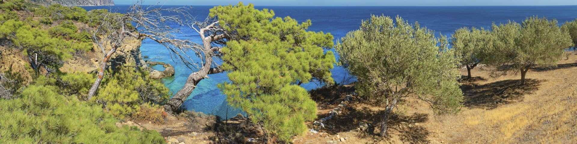 Green trees on a cliff with a wide view of the sea, hiking trail from Avlona to Diafani, Avlona, Diafani, Karpathos, Greece