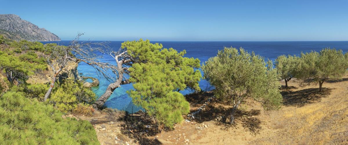 A coastal landscape with rocky cliffs, pine trees, and a clear blue sea.