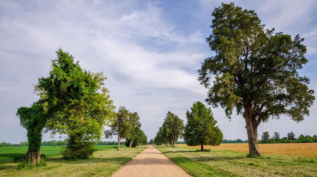 Condado de Charles City