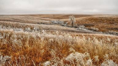 Frosty Prairie