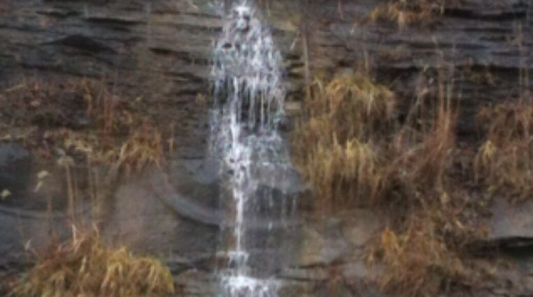 On the side of the road