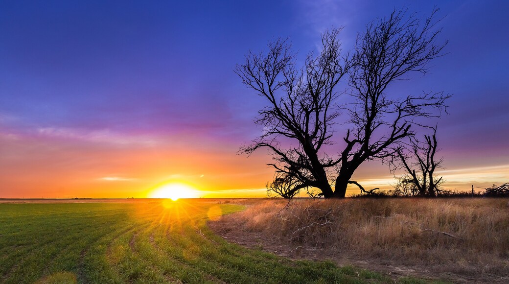 Ellis County, KS USA - A spectacular sunset over Western Kansas