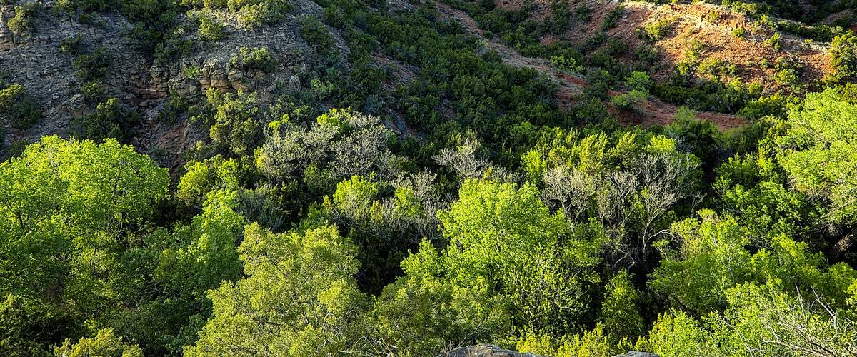 Scenic views surround the historic Dickens County Springs park. Dickens, Texas.