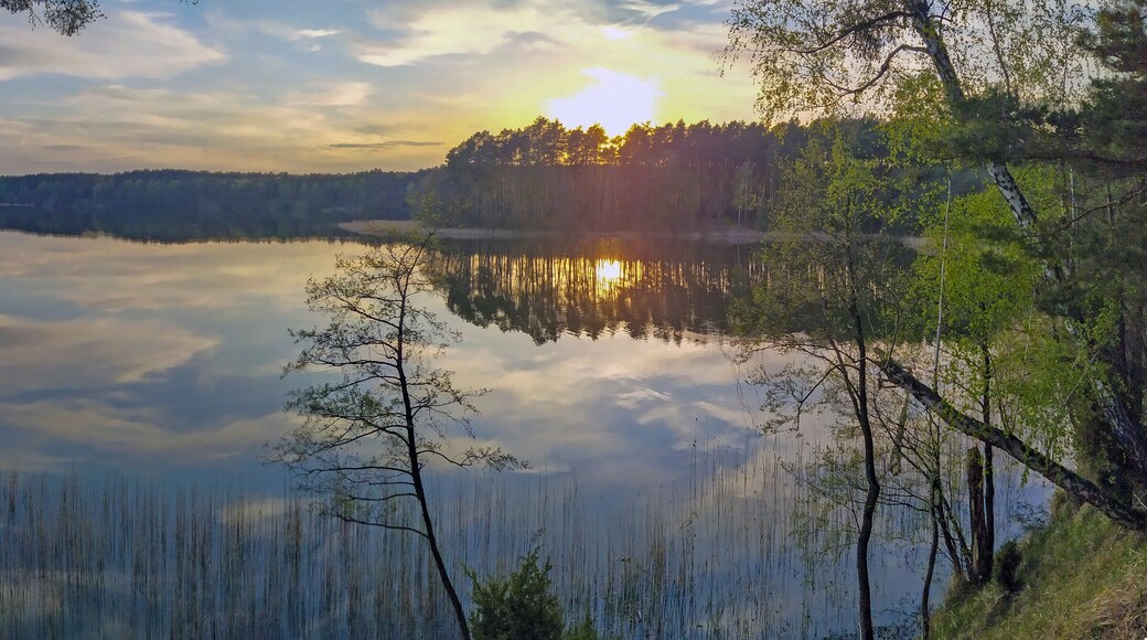 ComtĂ© de MyĆlibĂłrz