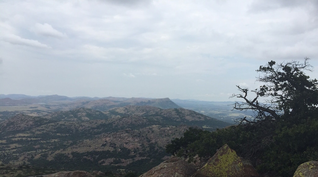 It is about a 3 mile hike up the paved road to the top of Mt. Scott. Great views of the Lawtonka and Elmer Thomas lakes on the way up.