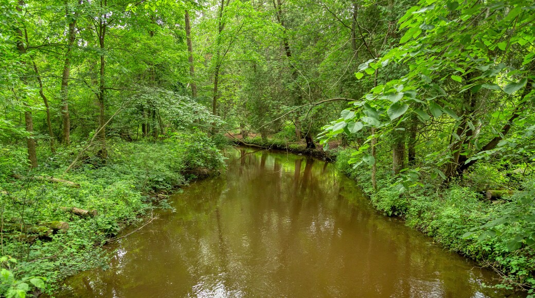 Stoney Creek, a tributary of southeastern Michigan's Clinton River, gently flows through the park named after it: Stoney Creek Metropark.