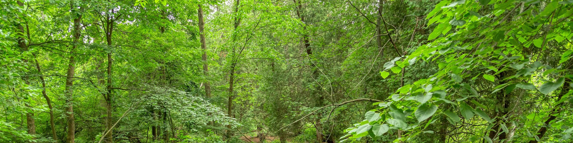 Stoney Creek, a tributary of southeastern Michigan's Clinton River, gently flows through the park named after it: Stoney Creek Metropark.