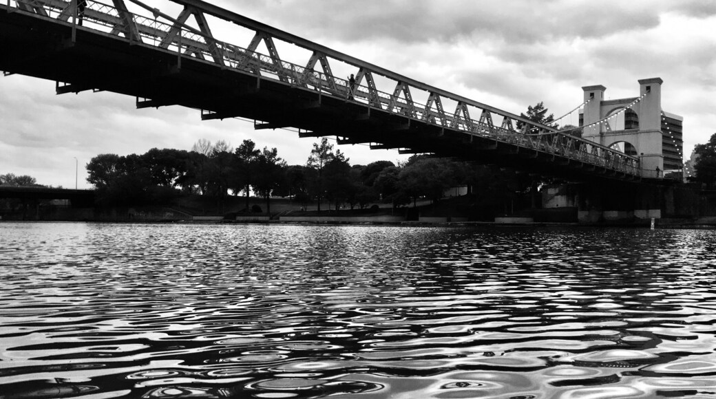 Brazos River downtown Waco looking up to the Suspension Bridge
#perspectives