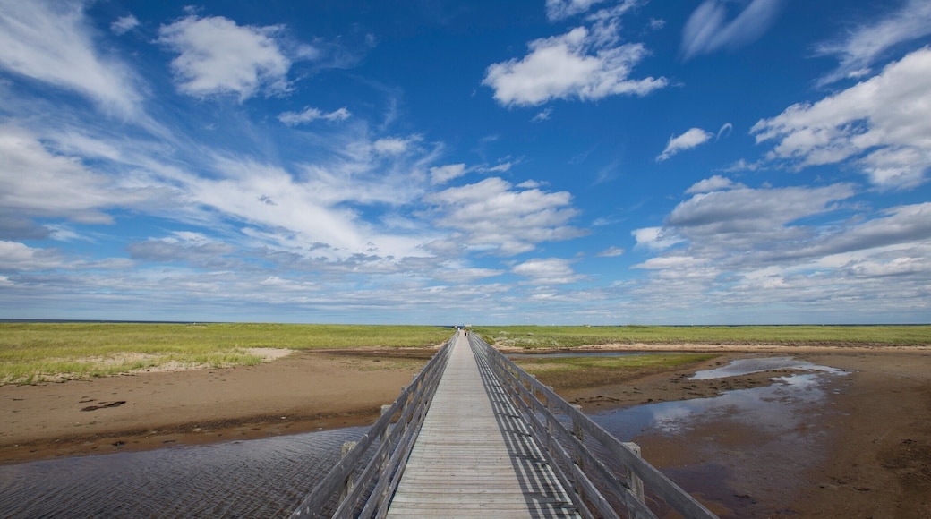 With a long boardwalk leading to the even longer Kelly's Beach, this National Park offers all the greens and blues you need to enjoy a perfect summer day.