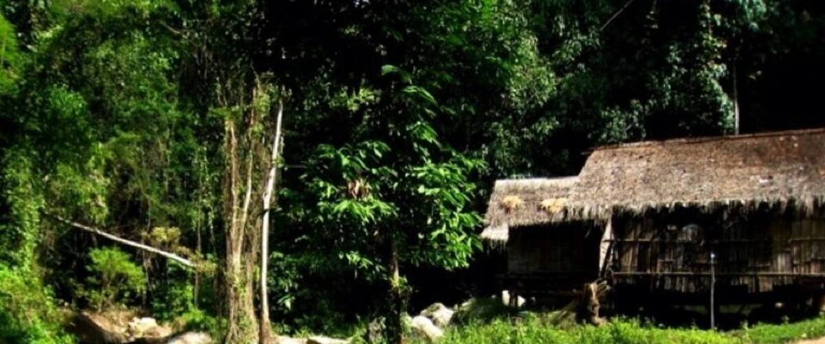 A small hut I saw while on a jungle trek.