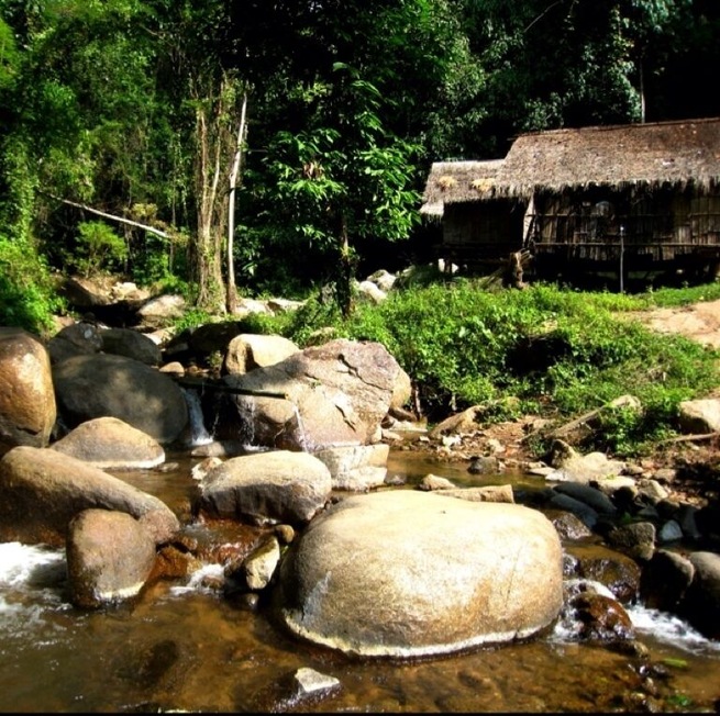 A small hut I saw while on a jungle trek.