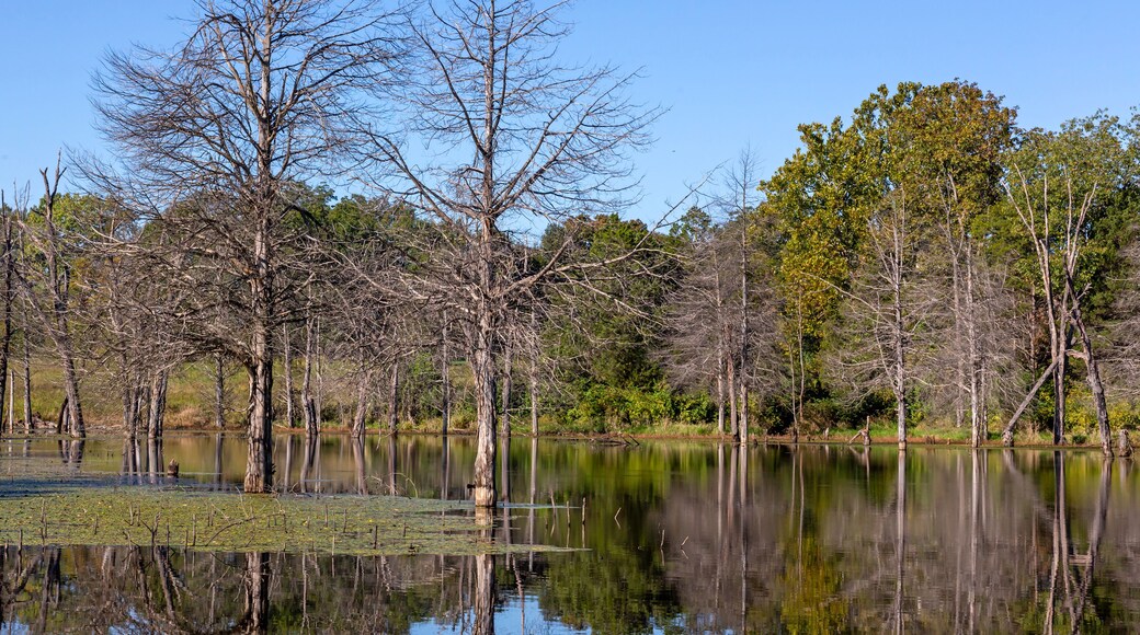Comté de Saint Clair