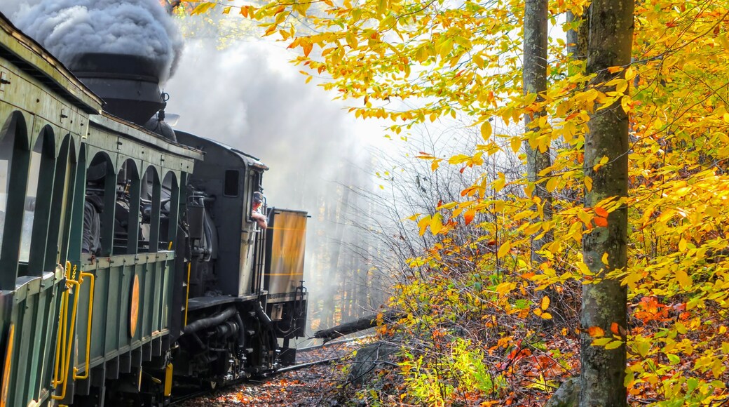 An old vintage train with thick smoke making its way through the woods in WV, with beautiful autumn colors and foliage. Shot near Cass, WV, USA.