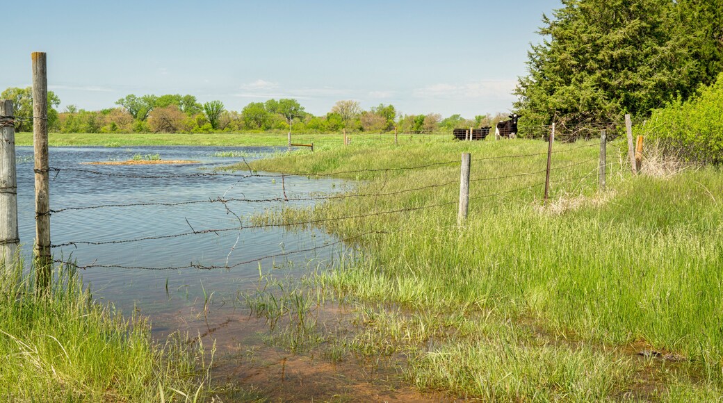 Flooded fields in Nebraska