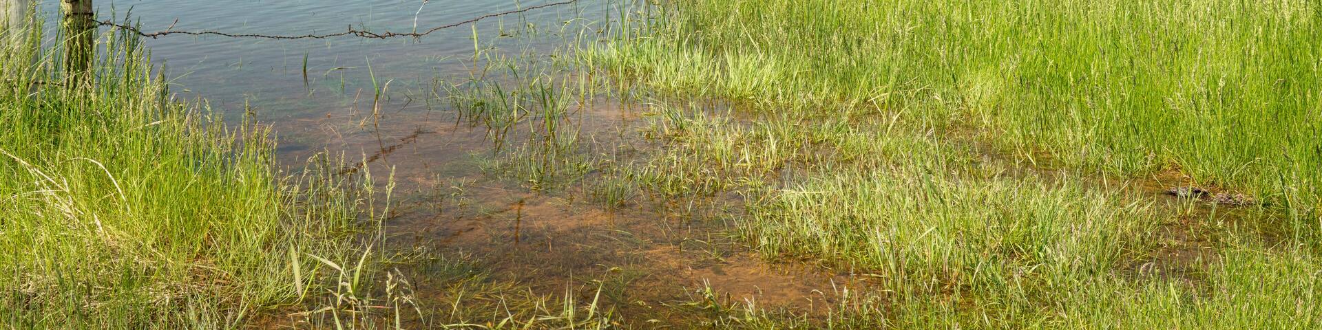 Flooded fields in Nebraska