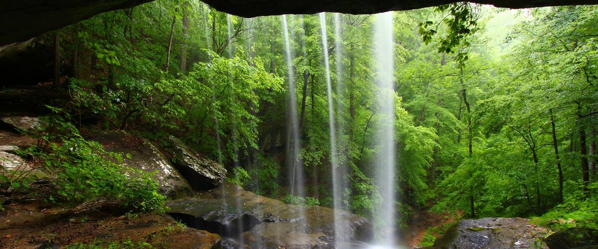 A forested area with a waterfall cascading over rocks.