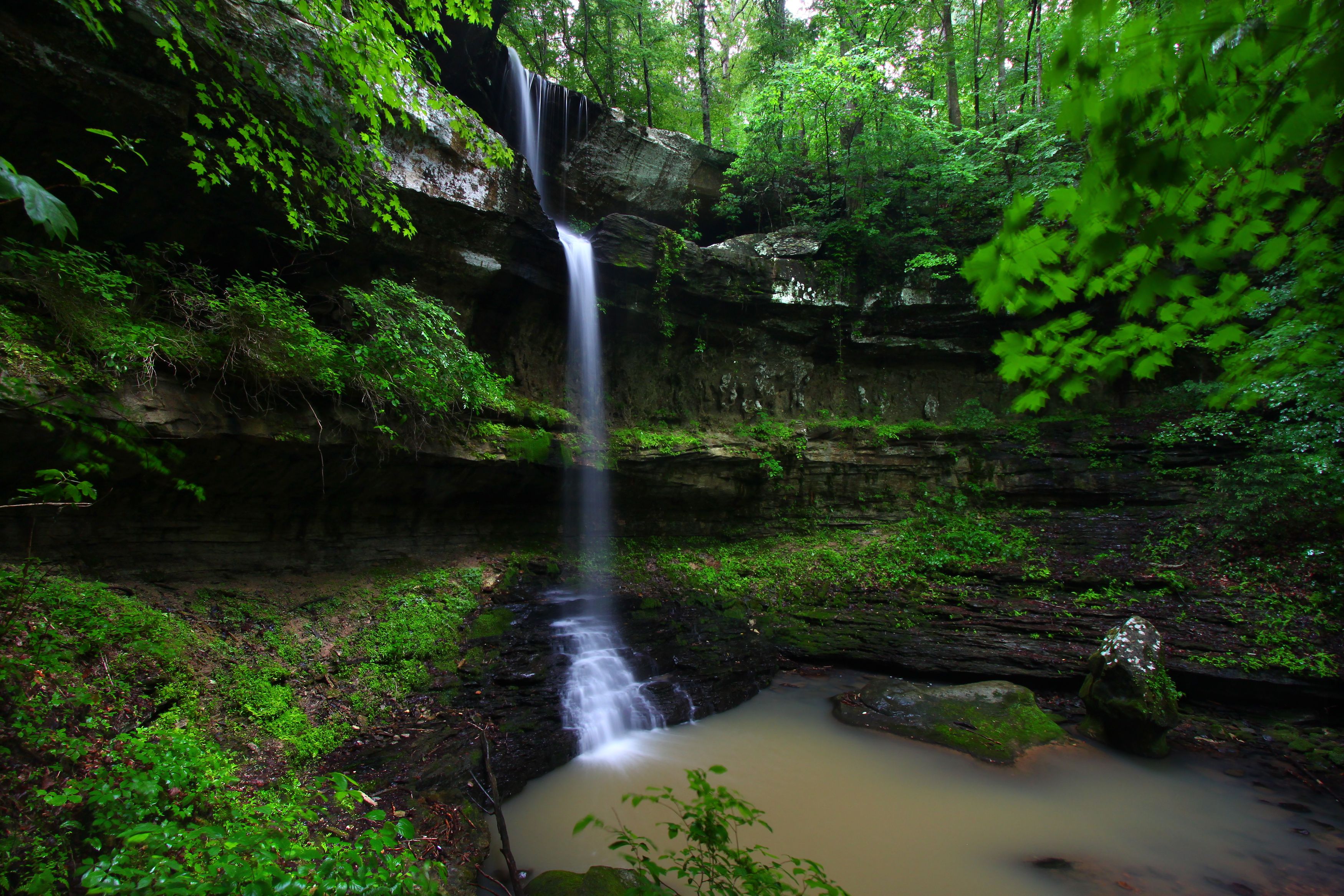 A waterfall cascading down a rocky cliff surrounded by lush greenery.