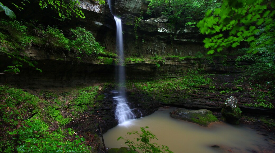 A waterfall cascading down a rocky cliff surrounded by lush greenery.