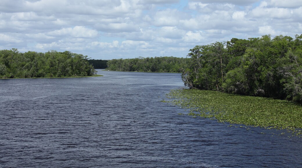 Black Creek river in Florida Clay county