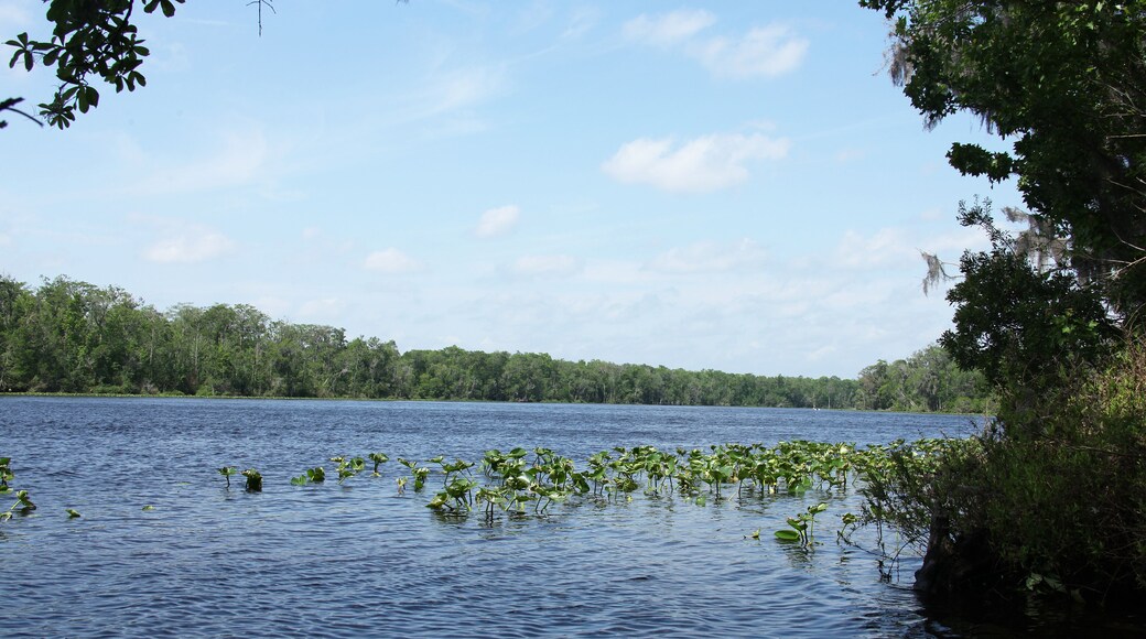 Black Creek river in Florida Clay county