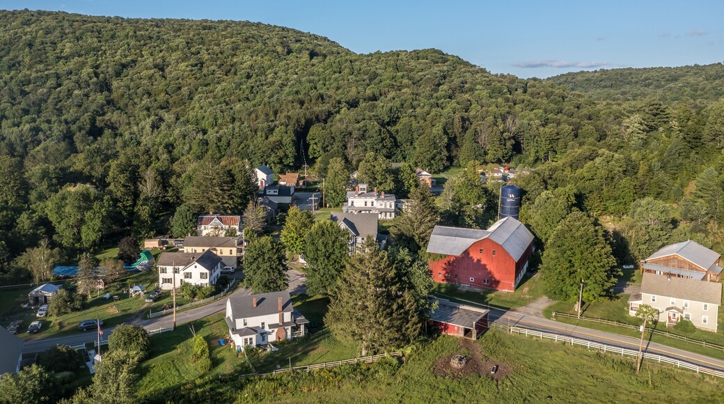 Un paisaje rural con un bosque denso, un pequeño pueblo con casas y un silo destacado.