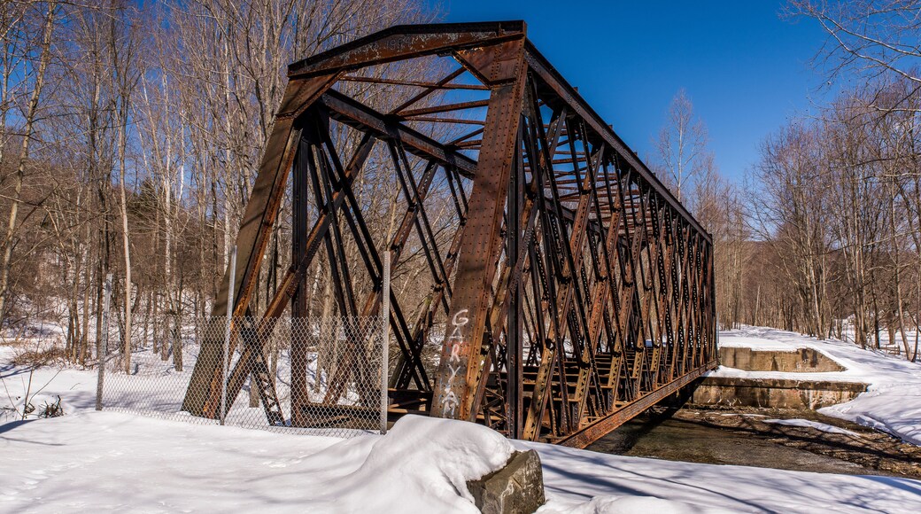 Un puente de metal oxidado en un paisaje nevado con árboles desnudos.