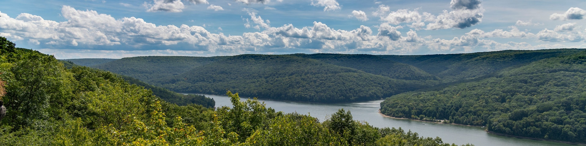 A river winding through a valley surrounded by dense forest.