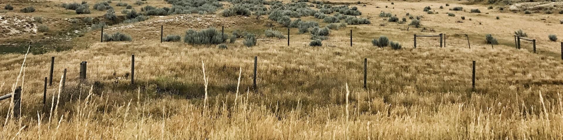 Driving west into the grasslands on the 450, about 10 min in.