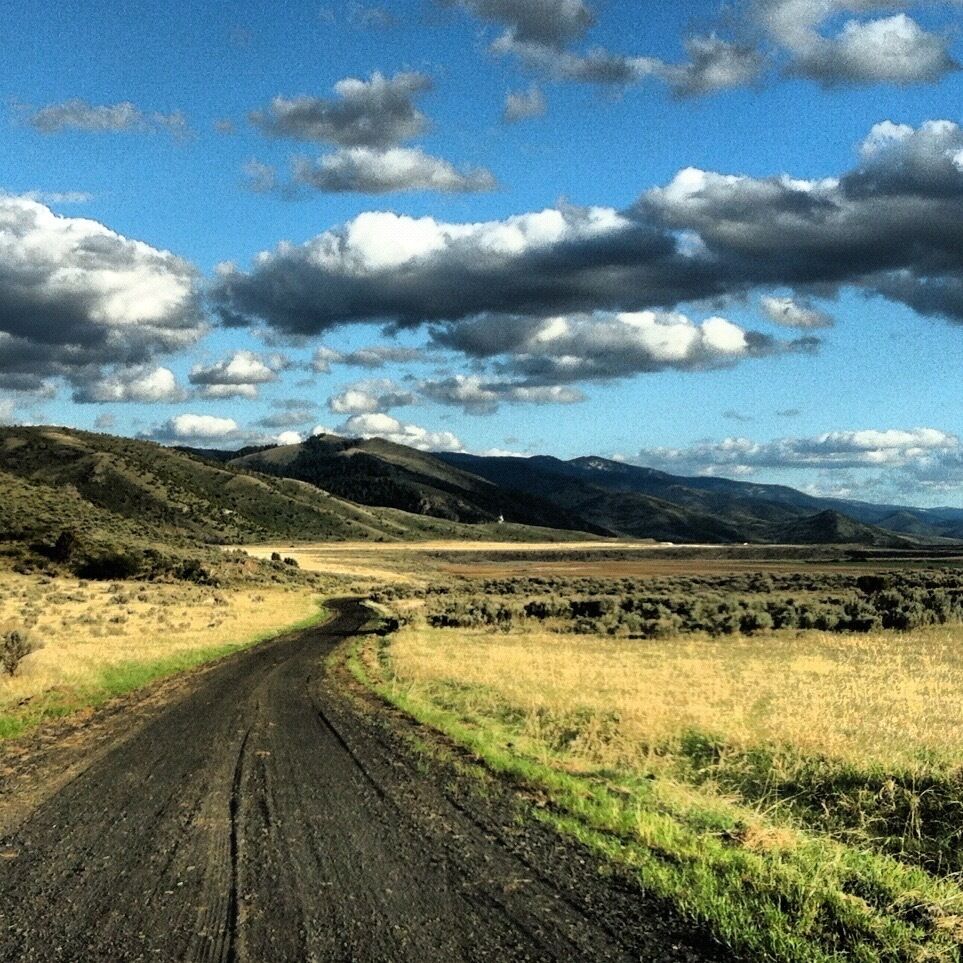 This dirt road is black, and for some reason it makes me happy. 