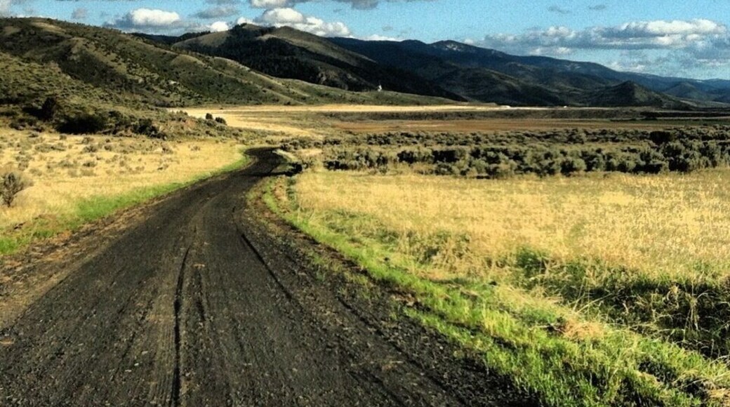 This dirt road is black, and for some reason it makes me happy.