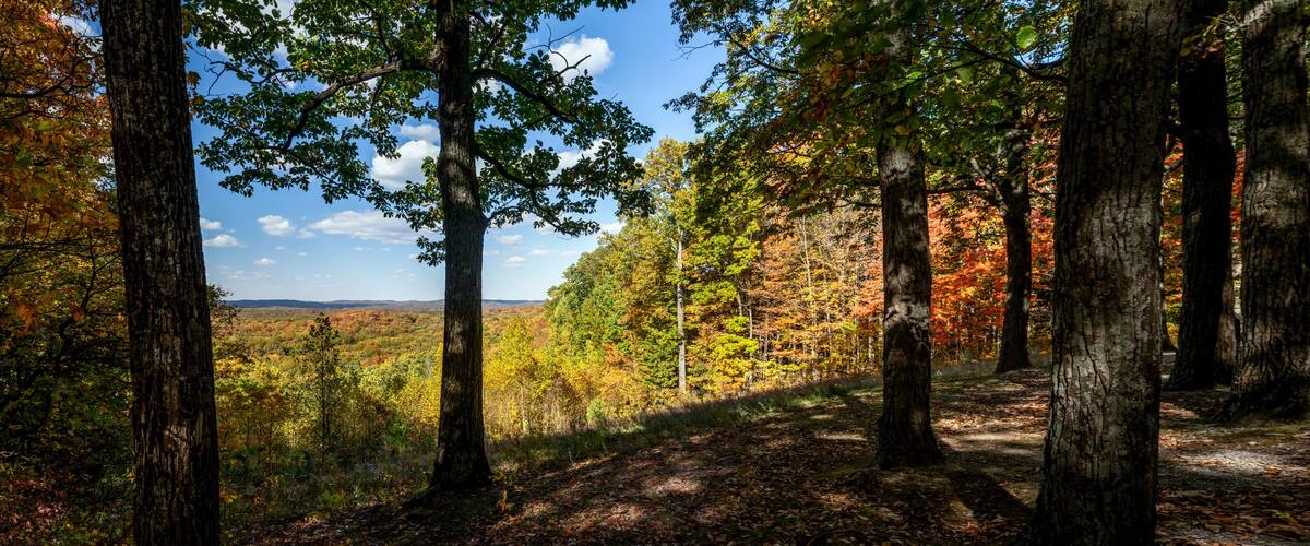 A colorful autumn vista, with trees in many beautiful fall colors of leaves, is viewed from the shade of an Indiana forest in beautiful, scenic Brown County State Park.