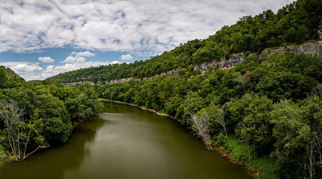 Condado de Montgomery