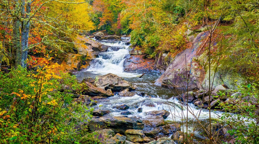 Fall color around small waterfals in the Cullasaja River in Nantahala National Forest between Franklin and Highlands North Carolina USA