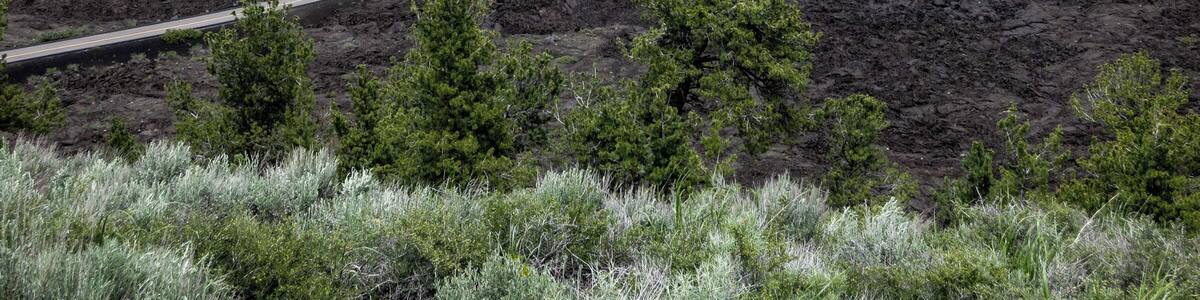 A cool twisty road through the lava fields at Craters of the Moon.
#lifeatexpedia