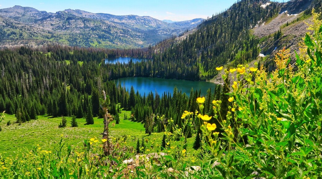 Enjoyed a little hike into three lakes today and only met one other group on the trail. Shirts Lake, Grassy Lake and Frog Lake....Beautiful!
#TakeAHike