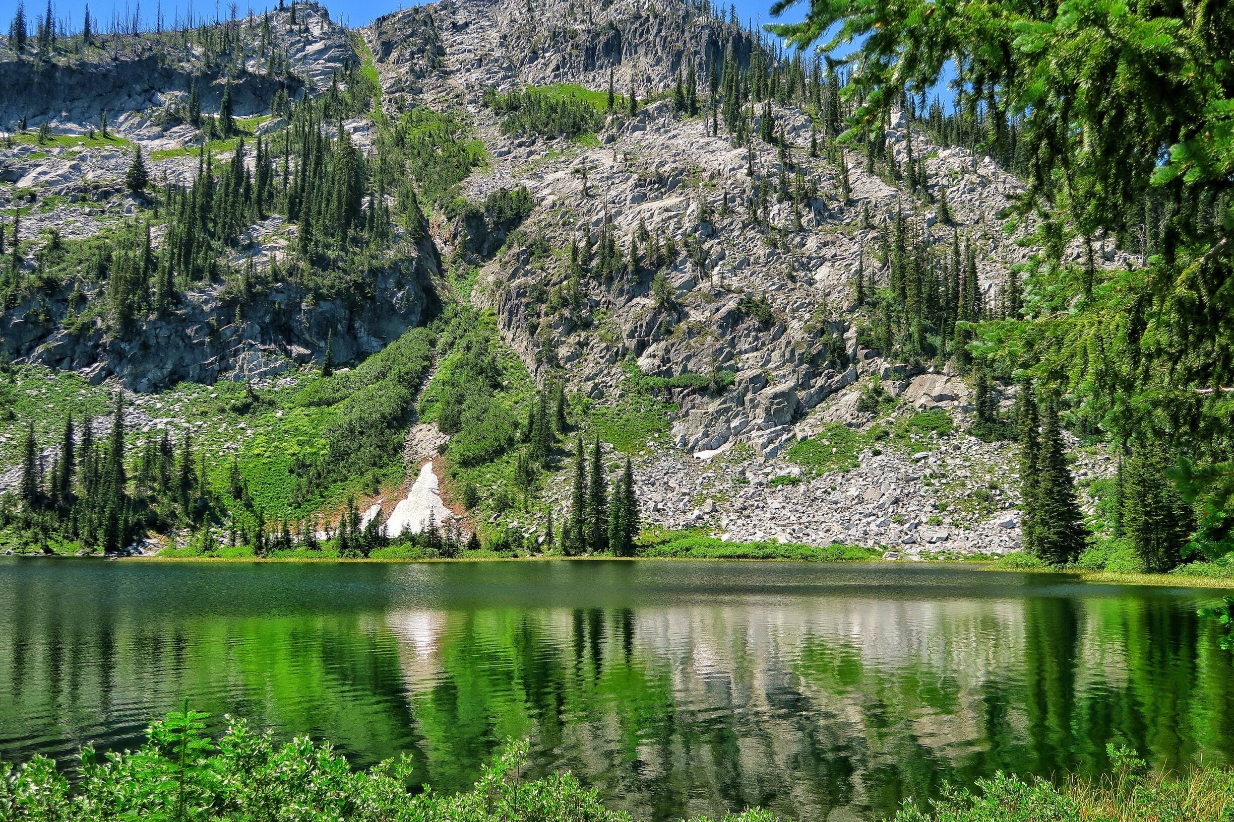 Passed this beautiful lake on our way up to the top of the rim. Peaceful meadow with lots of wildflowers along the trail.
#takeahike