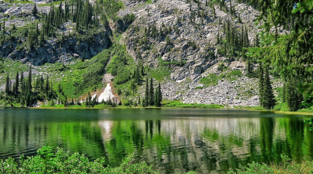 Passed this beautiful lake on our way up to the top of the rim. Peaceful meadow with lots of wildflowers along the trail.
#takeahike