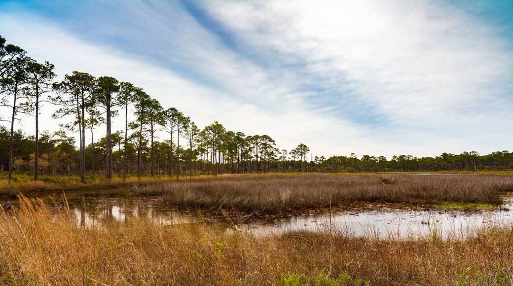 Florida nature preserve