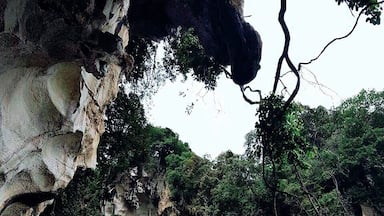 古瓦