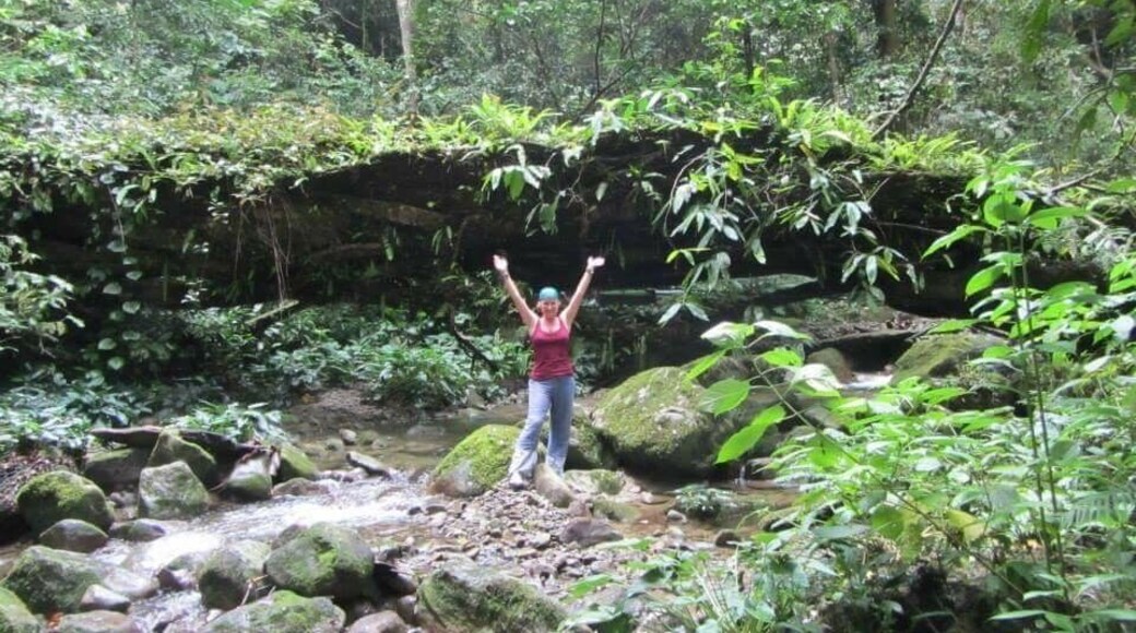 Exploring the Wild jungles of Borneo