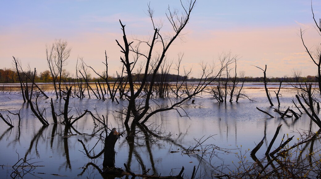 เขตการปกครองเฟรนช์ทาวน์