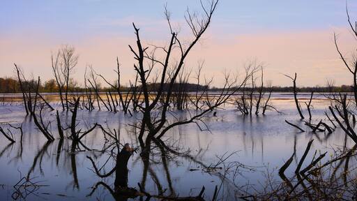 بلدية فرينشتاون