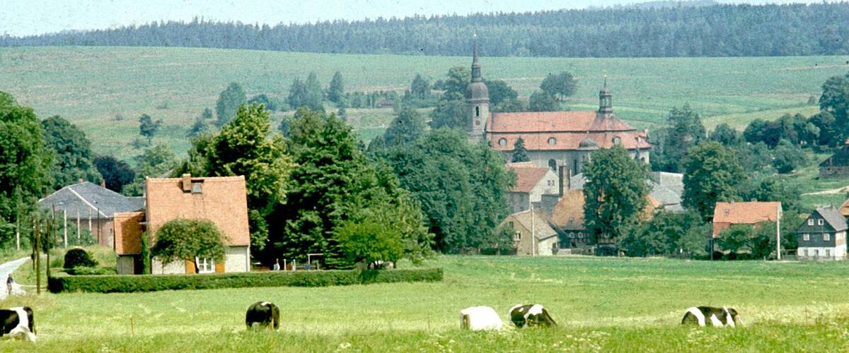 A rural landscape with a church, several houses, and grazing cows.