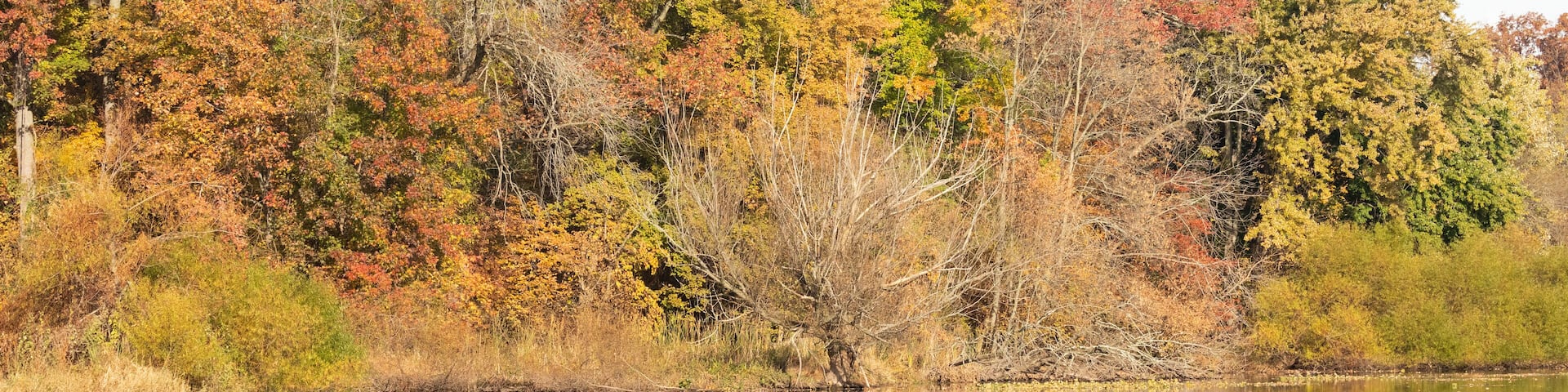 A gorgeous view of Jacksons Pond, in Clark New Jersey during the fall. The colorful fall foliage is reflected in the water.
